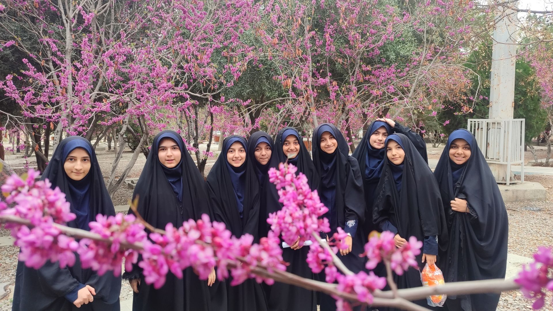 اردوهای تفریحی و بازدیدهای علمی